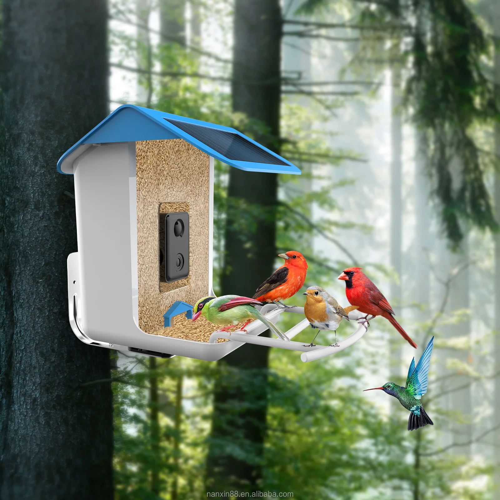 APP Control Smart Bird Feeder with Camera Bird House with Camera for  AI Recognize Bird Species