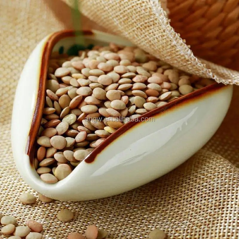 Wholesale Newest Crop Small Lentils Beans High Quality Bulk Dried Green