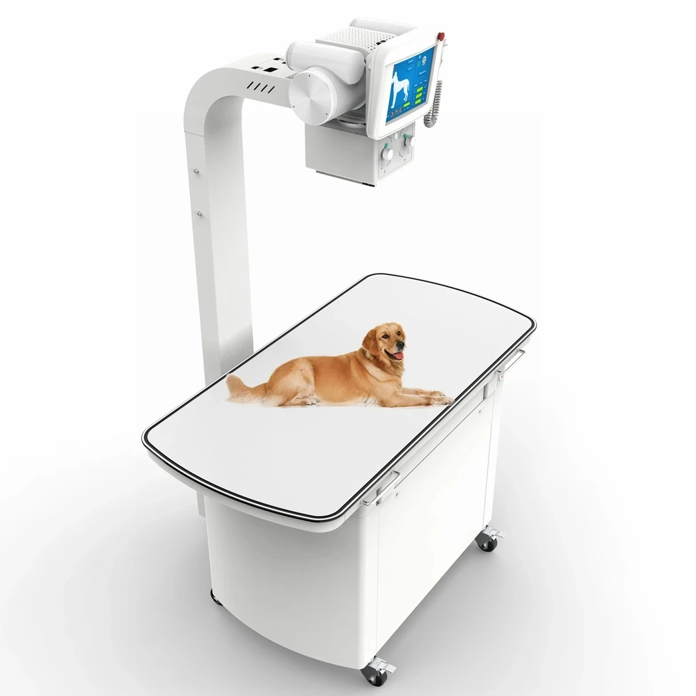 20kw 300ma Portable X Ray Machine Medical Mobile Xray Machine For