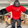 Vest gorilla
