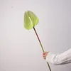 #10 Vert