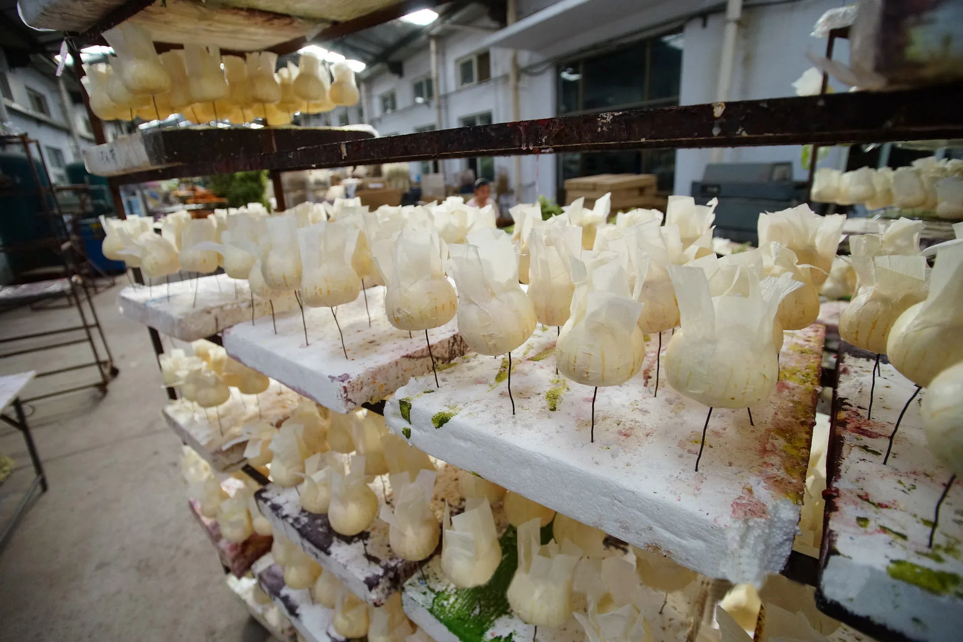 Hebei Nuanpin Trading Co., Ltd. 3