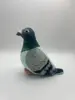Colomba verde