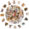 T01040936 - Black cat head 50 sheets