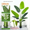 180cm high sim traveler banana-real hand leaf 11 leaves-black pl