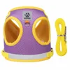 Morado Amarillo