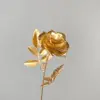 Rosa a stelo singolo