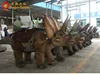 Dinosaure Rides