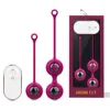 Bola vibratoria con control remoto SHD-H008-2