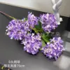 5 large snowflake hydrangeas