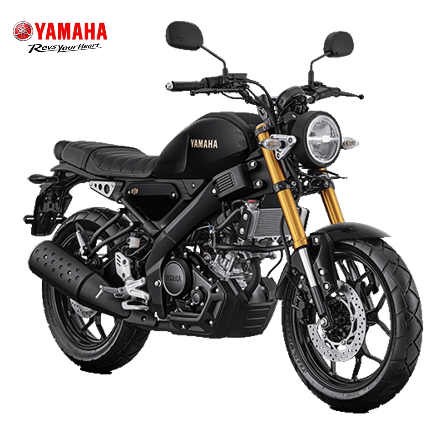 YAMAHA XSR155 バイク アンダーカウル
