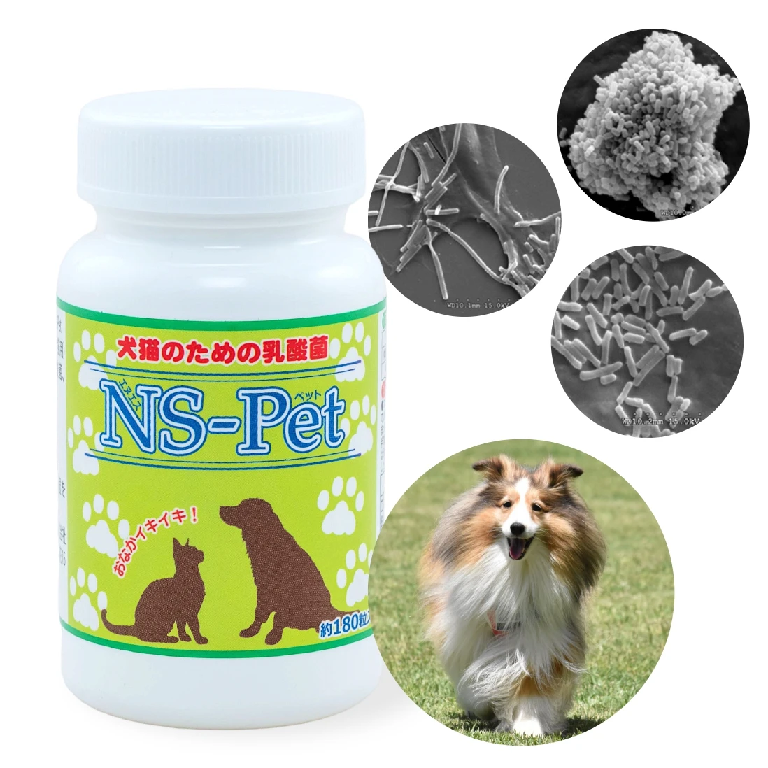 Yeast No Smoothing Agents Preservatives Superior Quality Pet Food Dog  Supplement - Buy Dog Supplement,Dog Supplement,Dog Supplement Product on  Alibaba.com