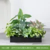 hc-Y60-10 es adecuado para jardineras de 60 cm.