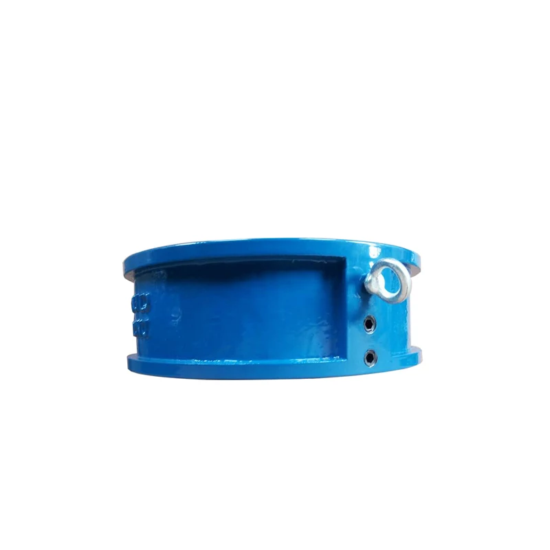 PN16 Double Disc Doul Plate Type Wafer Non Return Check Valve  Price