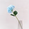 Une branche bleu clair