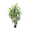 150cm Brazilwood