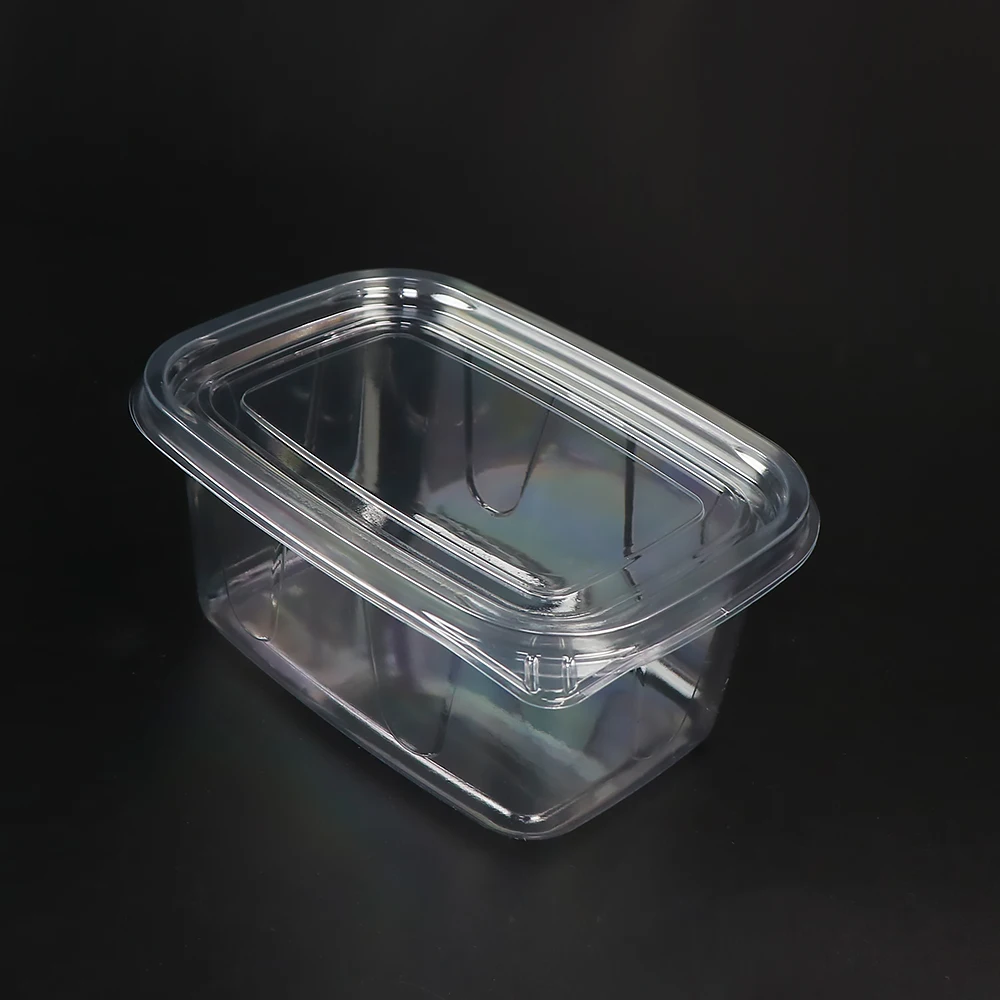 Compartment Biodegradable Disposable Tray With Lid Disposable Food