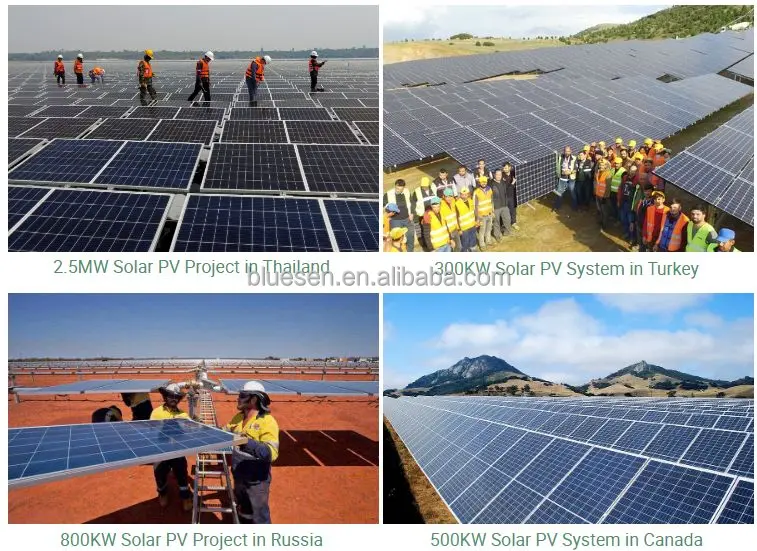 Trina Vertex S+ 450w Solar Panel Dual Glass 425w 430w 435w 440w 445w