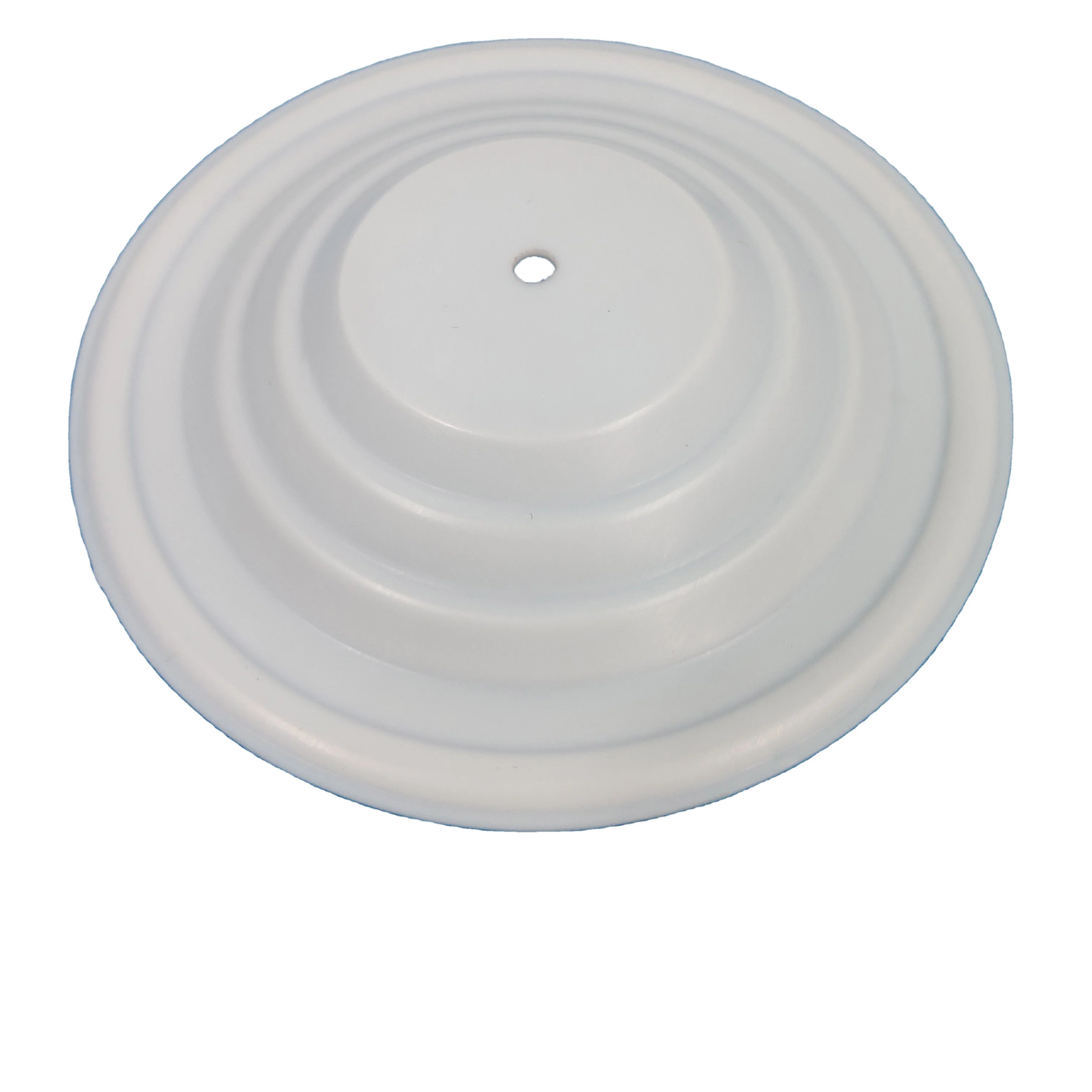 CF108839 Diaphragm