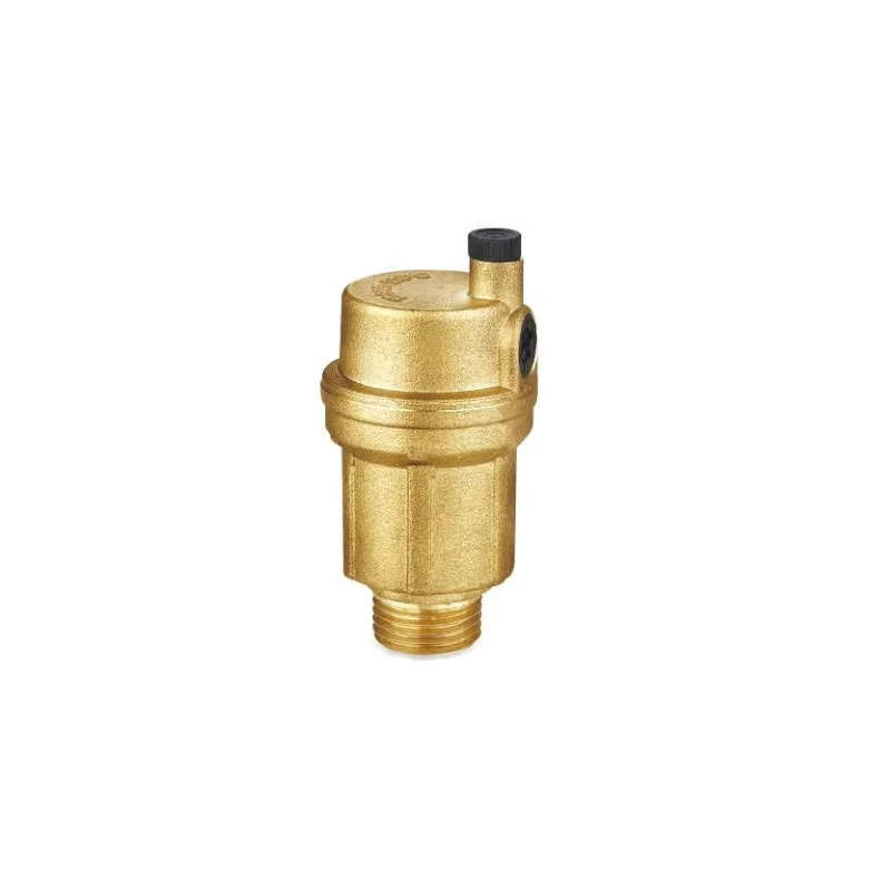 Competitive Price 1/2" BSP Sanitary Forged Air Released Vent Valve