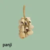 Panji-M