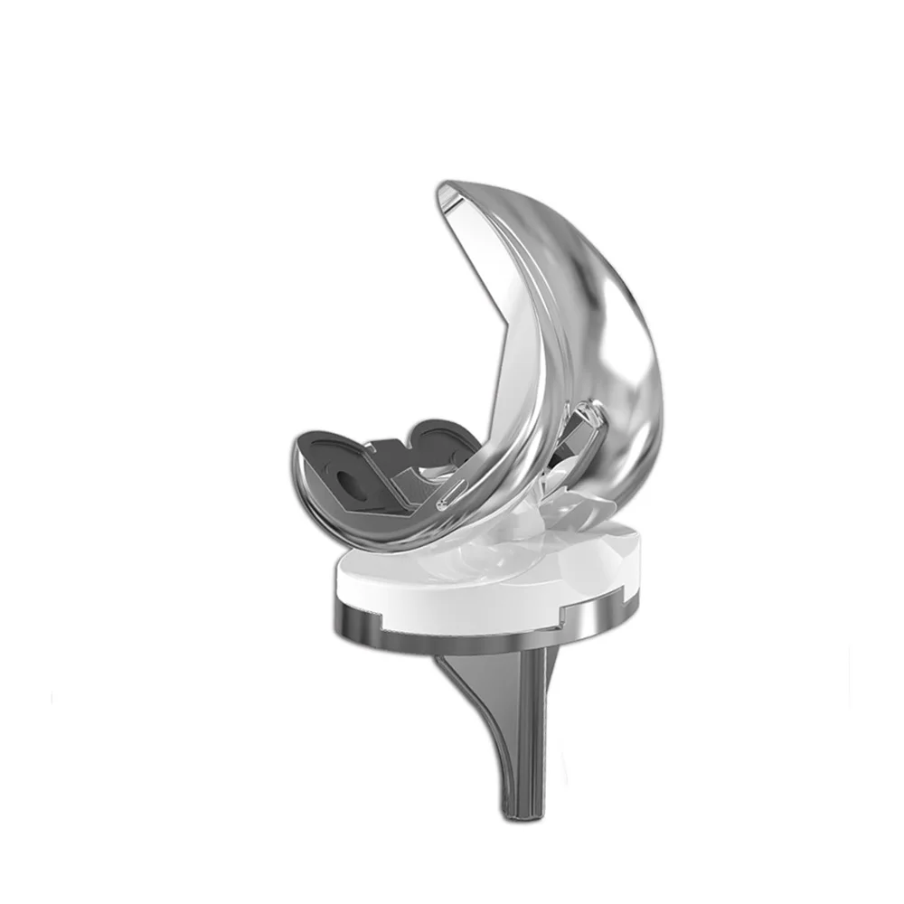 Knee Prosthesis 4