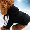 Dos patas, perro negro.