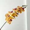 10-amarillo