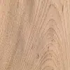 Elm