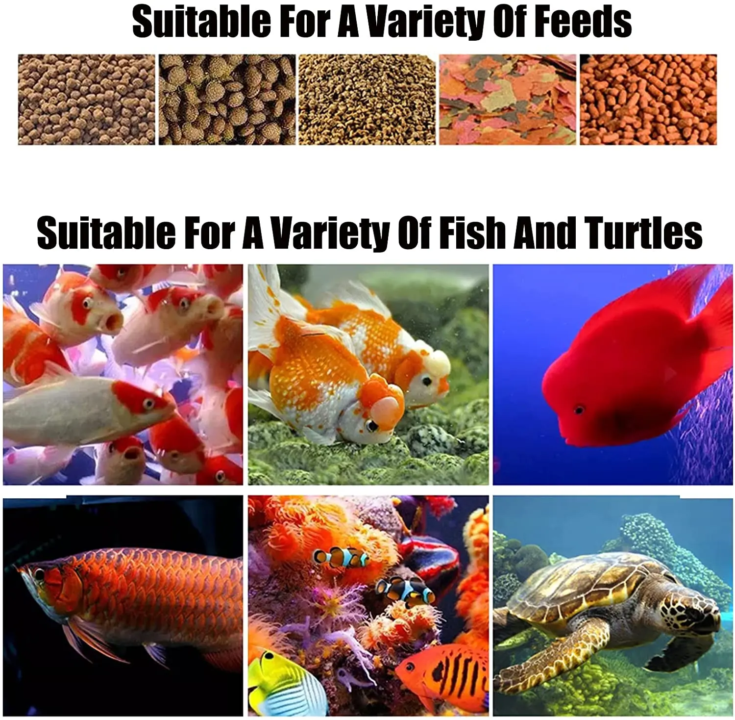 automatic fish flake feeder