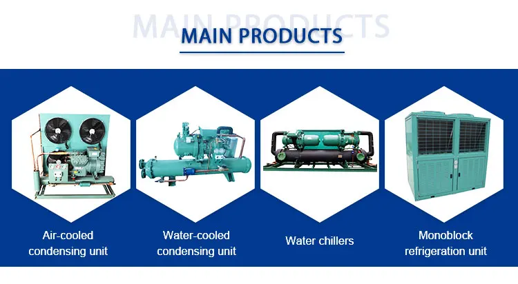 Bitzer-Compressor Air-Cooled Condensing Unit