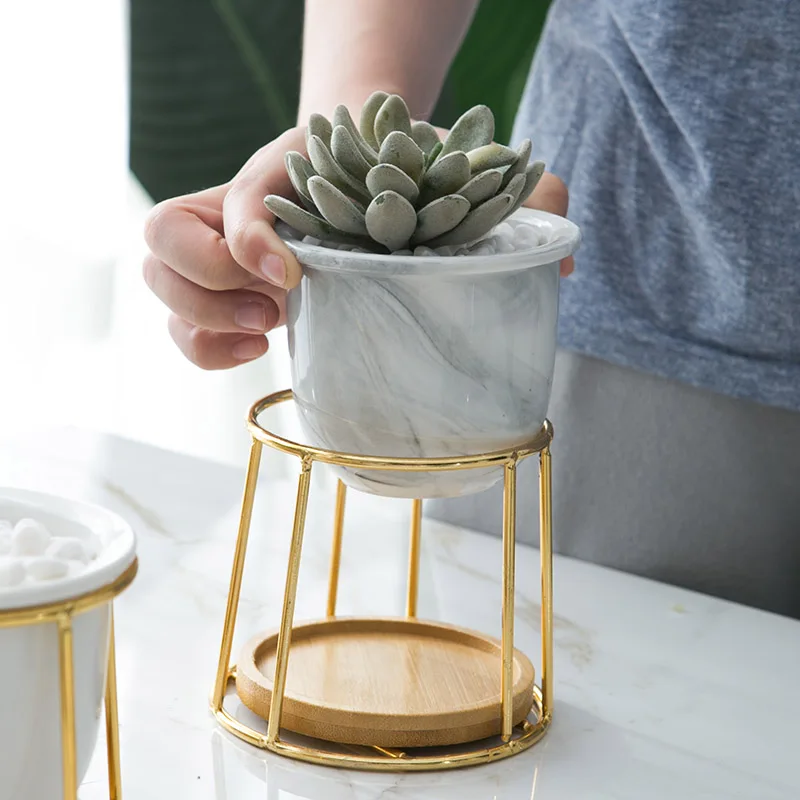 Simple White Creative Succulent Owl with Treetop Bamboo Frame Zakka Combination Potted Ceramic Plant Pots