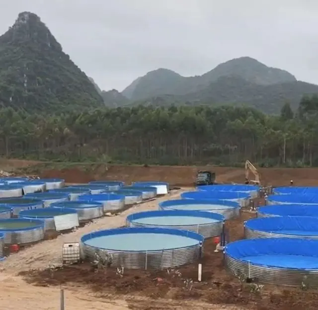 Multi Size 8 Foot Stock Tank Round Galvanized Trough Stock Tank For Backyard Swimming Pool/water