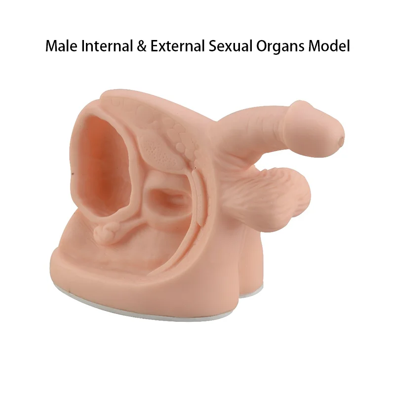 life size male sex toy Amazon.com: Lifelike Sex Doll Male Masturbator Realistic Big Butt Pocket  Pussy Ass with Vagina Anal Sex Stroker, Female Body Torso Hip Adult Love Doll  Male Sex Toys for Men Masturbation : Health main image 1