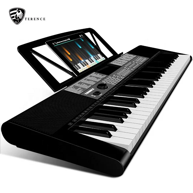 Terence SP611 Chinese Piano - 61 Key Educational Keyboard
