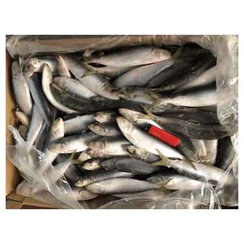 Wholesale Wild Aquatic Products Frozen Pacific Whole Sardines Fish