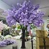 Lavanda