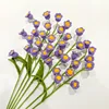 Lily of the valley purple
