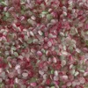 Rose Green