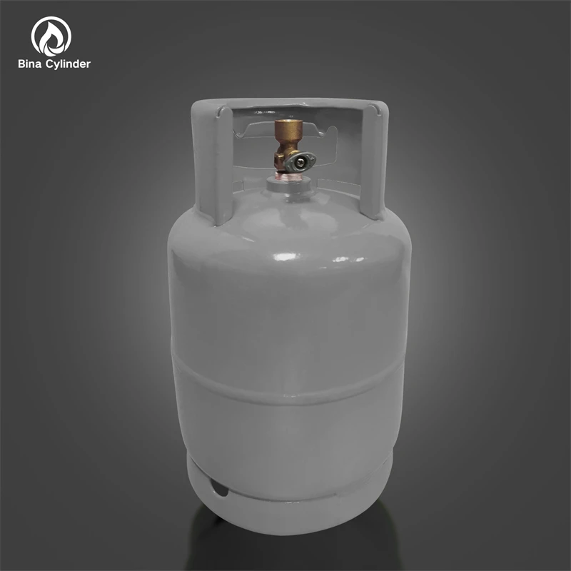 
Южная Африка, 3 кг, мини газовые цилиндры сжиженного углеводородного газа, пустые цилиндры сжиженного углеводородного газа для кемпинга, домашние емкости для хранения 