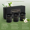 150g Fruit Fragrance