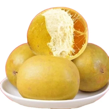 Date Ball Common Fruit Yellow Date Mangosteen Date