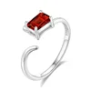 JH0169-5Garnet