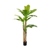 Verde-3