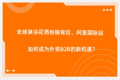 全球淋浴花洒热销背后，阿里国际站如何成为外贸B2B的新机遇？