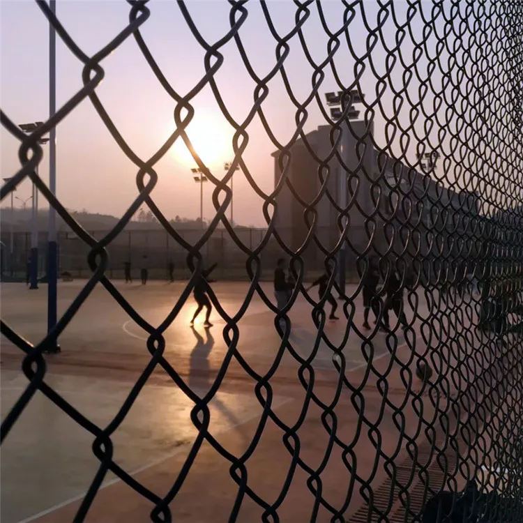 Pvc Coated Chain Link Iron Wire Mesh Fence Post / 6ft 7ft8ft Galvanized Diamond Mesh Wire Fencing Tortoise Fence