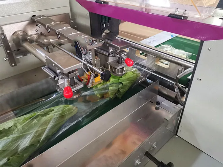 Fully Automatic Horizontal Wrapping Pack Packaging Machine Fruit and Vegetable Packing Machine