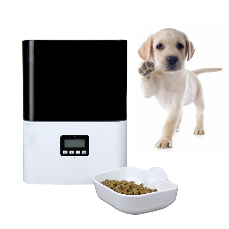 automatic pigeon feeder with timer