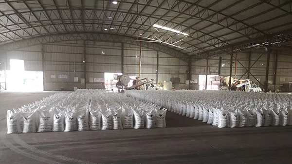 caustic soda plant-1