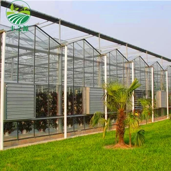 Commercial Venlo Type Multi Span Tempered Glass Greenhouse - Buy ...